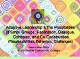 Adaptive Leadership PowerPoint PPT Presentation