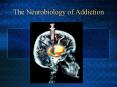 The Neurobiology of Addiction PowerPoint PPT Presentation