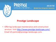 Why Should You Invest In Landscaping?