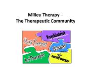 Milieu Therapy 