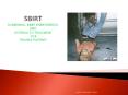 SBIRT SCREENING, BRIEF INTERVENTION, AND REFERRAL TO TREATMENT FOR TRAUMA PATIENTS PowerPoint PPT Presentation