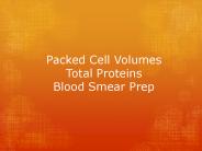 Packed Cell Volumes Total Proteins Blood Smear Prep