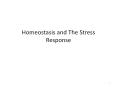 Homeostasis and The Stress Response PowerPoint PPT Presentation