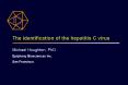 The identification of the hepatitis C virus PowerPoint PPT Presentation