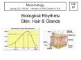 Biological Rhythms Skin: Hair PowerPoint PPT Presentation