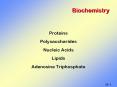 Biochemistry PowerPoint PPT Presentation