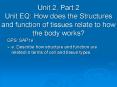 Unit 2, Part 2 Unit EQ: How does the Structures and function of tissues relate to how the body works? PowerPoint PPT Presentation