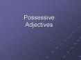 Possessive Adjectives PowerPoint PPT Presentation