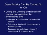 Gene Activity Can Be Turned On or Off