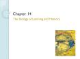 The Biology of Learning and Memory PowerPoint PPT Presentation
