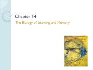 The Biology of Learning and Memory