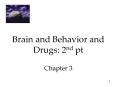 Brain and Behavior and Drugs: 2nd pt Chapter 3 PowerPoint PPT Presentation