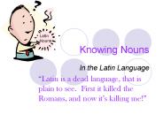 Knowing Nouns