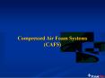 Compressed Air Foam Systems (CAFS) PowerPoint PPT Presentation
