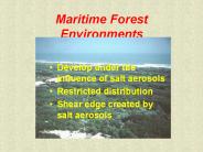 Maritime Forest Environments