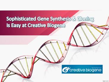 Sophisticated Gene Synthesis & Cloning is Easy at Creative Biogene