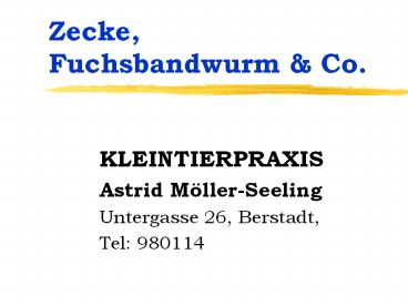 Zecke, Fuchsbandwurm