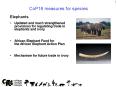 CoP16 measures for species PowerPoint PPT Presentation
