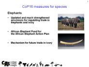CoP16 measures for species