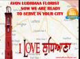 Avon Ludhiana Florist