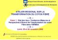 ATELIER REGIONAL SUR LA TRANSFORMATION DU COTON FIBRE PowerPoint PPT Presentation