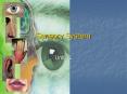 Sensory System PowerPoint PPT Presentation