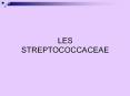 Les Streptococcus PowerPoint PPT Presentation