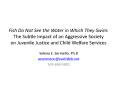 Fish Do Not See the Water in Which They Swim: The Subtle Impact of an Aggressive Society on Juvenile Justice and Child Welfare Services PowerPoint PPT Presentation