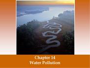 Water Pollution