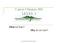 Career Clusters 101 LEVEL 1 PowerPoint PPT Presentation