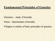 Fundamental Principles of Genetics