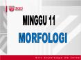MINGGU 11 PowerPoint PPT Presentation