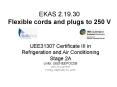 EKAS 2.19.30 Flexible cords and plugs to 250 V PowerPoint PPT Presentation