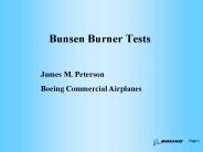 Bunsen Burner Tests