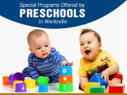 Special Programs Offered by Preschools in Wentzville MO