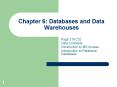 Chapter 6: Databases and Data Warehouses PowerPoint PPT Presentation