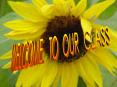WELCOME  TO OUR CLASS PowerPoint PPT Presentation