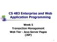 CS 483 Enterprise and Web Application Programming PowerPoint PPT Presentation