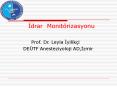 Idrar Debi Monit PowerPoint PPT Presentation