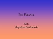 Psy Rasowe