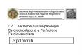 Nessun titolo diapositiva PowerPoint PPT Presentation