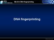 DNA fingerprinting