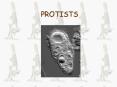 PROTISTS PowerPoint PPT Presentation