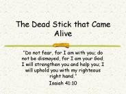 The Dead Stick that Came Alive