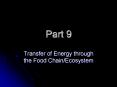 Transfer of Energy through the Food Chain/Ecosystem PowerPoint PPT Presentation
