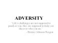 ADVERSITY PowerPoint PPT Presentation