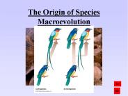 The Origin of Species Macroevolution