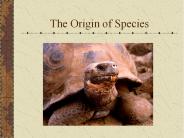 The Origin of Species