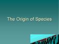 The Origin of Species PowerPoint PPT Presentation