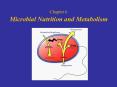 Chapter 6 Microbial Nutrition and Metabolism PowerPoint PPT Presentation